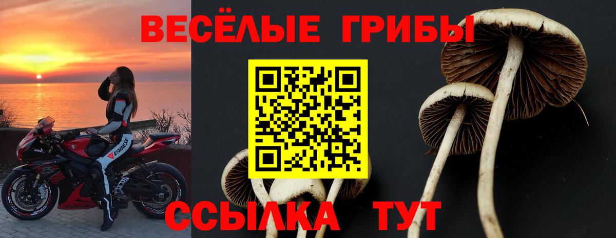 Нерюнгри  Псилоцибиновые грибы Psilocybine cubensis  наркота  Вход с VPN 
