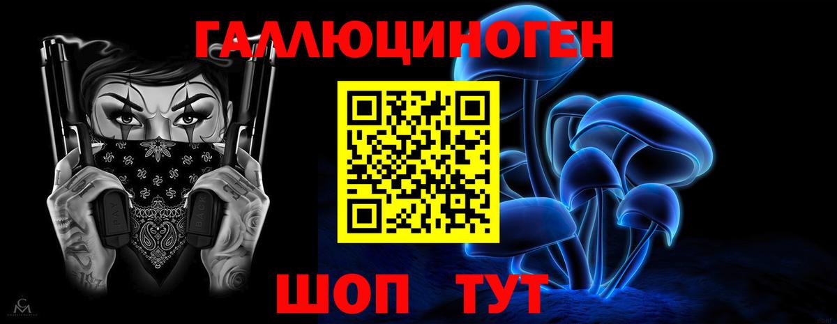 Галлюциногенные грибы Psilocybe Нерюнгри